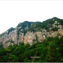제주 산방산 암벽식물지대 이미지