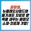 후양축산 | 파미셀, 뉴클레오사이드와 줄기세포 치료로 양축을 세우는 바이오 소재·치료제 기업!