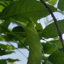 압해동초등학교 이미지