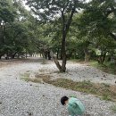 진천 성석사거리~진천소방서 | 아이와 캠핑_충청북도 진천군 밤나무가 있는 초평밤나무캠핑장