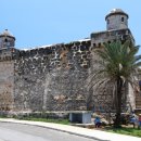 코히마르 이미지