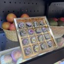 푸르담 | 🥝 세종과일맛집_#세종과일바구니 #세종예단선물 고운동에 위치한 푸르담 다녀온 후기 ✨