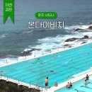 시드니 본다이비치 가는법 수영장 아이스버그 총정리