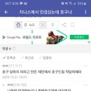 지니스안경 이미지