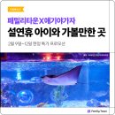 잭슨나인스 이미지