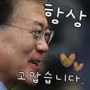 [오지랖 제작소]4월27일자 명예고문 위촉장-더불어민주당 서울특별시당 김영주 위원장님 이미지