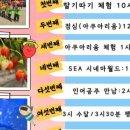 원탑 태권도장 이미지