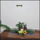 행정용 37번 | 장안구요양원 어디가 좋을까? 사랑꽃요양원 직접 둘러본 후기