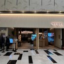 제일특유 | 여의도 IFC몰 맛집 제일제면소 리뉴얼 오픈 후기, 무제한 샤브샤브 가격 변경된 내용