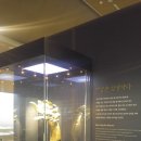 국립대구박물관건너 버스정류장 이미지