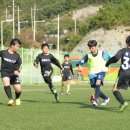 트라이서클