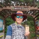 조강철책길 이미지