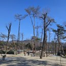 칠봉 송정 캠핑장 이미지