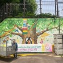 서울삼정초등학교 이미지