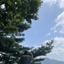 11650-16-8-2 이미지