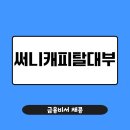 써니캐피탈대부 대출 괜찮을까? 2025년 서민금융 우수업체 선정 이유는?
