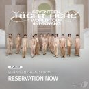 소노하이브 이미지