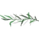 댕댕이블루스 이미지