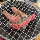 [광주,전라도] 유스퀘어 맛집 가정식 모모정 내돈내산 후기