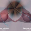 이광수동물병원 이미지