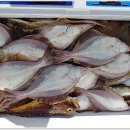 공현진항 이미지