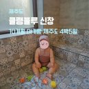풍차호프 | [제주도 여행 4박5일] 클랭블루 신창 숙소, 10개월 아기랑 제주도 여행, 숙소는 호텔보다 여기! 1편