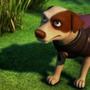 슈퍼베어 이미지