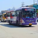 나주교통차고지 네이버블로그