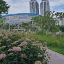 부개주공 이미지