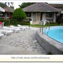 앨리스 인 원더랜드 이미지