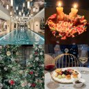 조선 팰리스 서울 강남, 럭셔리 호캉스 : 그랜드 리셉션, 수영장, 피트니스 이용 후기