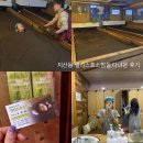 신협사우나 | 혈액순환 붓기 관리 엘리스 효소찜질 체험 솔직 후기