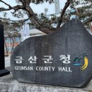 2734 데일리한국