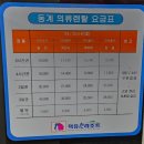 코러스 | [무주스키장]24/25시즌 설천하우스 및 슬로프 이용후기(쌍쌍, 코러스)