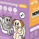 펫노우 이미지