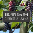 열매 이미지