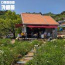 다랭이마을 | 다랭이마을 카페톨 추천하지만 비추천하는 솔직 후기