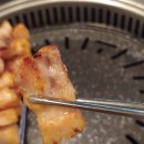 맛팡 이미지