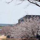시지매호천 롤링핀 이미지