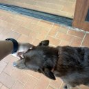 준원농장 이미지