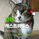 41190-01-07-168 | 캐스트하우스 송도 고양이 원데이패스 첫방문 인천 숙소