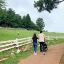 재은목장 이미지