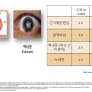 백은천냥시대 이미지