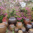 덕천마루 이미지