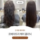 [르베아트리] 도곡동헤어케어 받으러 갔다가 모질 완전 바뀐 이야기 🤍 (르베아트리클리닉 솔직 후기)