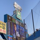 [야구] 삼성라이온즈vs롯데자이언츠 5/3 스카이지정석 직관후기