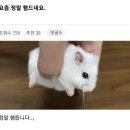북원로6 이미지