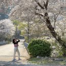 동해시-46 이미지