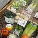 (주)시마 | 12월을 시마이하며,,,