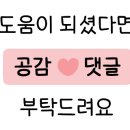 솔까치펜션 이미지
